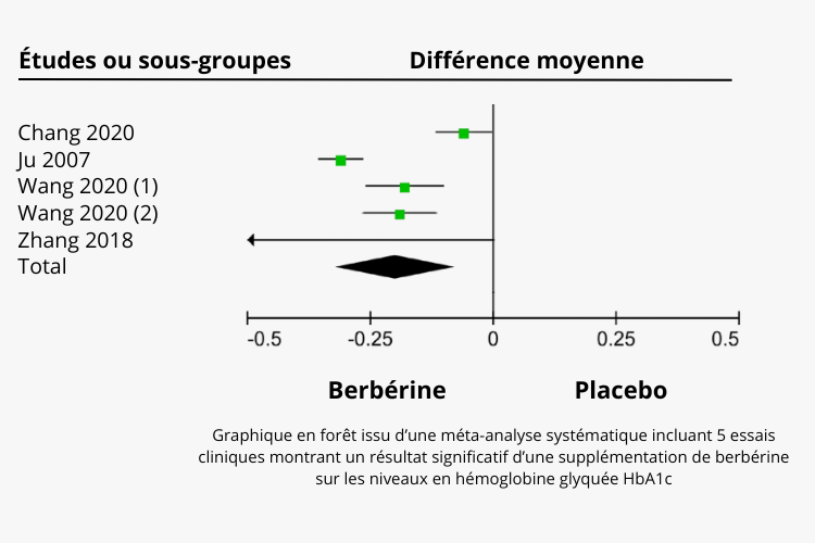 Effets de la berbérine sur les niveaux en HbA1c